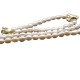 Gold Grain High Quality Beige Pearl Bracelet Necklace Set