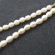 Bracelet Buckle Pendant Pearl Necklace